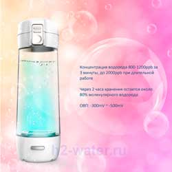 w_11_250 Генератор водородной воды H2Day - FW2010 (Тайвань) - H2H2O генераторы водородной воды