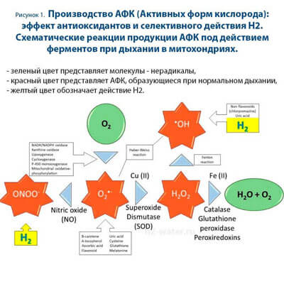 Статья из швейцарского научного журнала Molecules (высший рейтинг Q1) о лечении водородом сердечно-сосудистых заболеваний