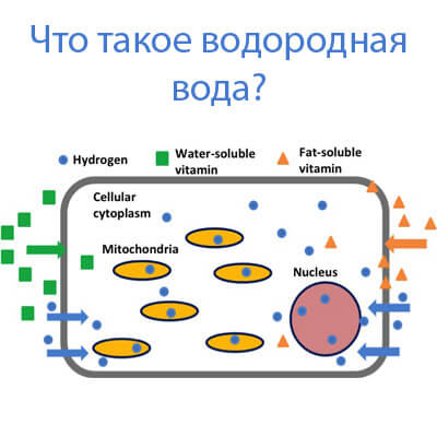 Водородная вода. Что это? Водород полезен?