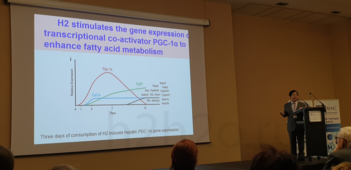 водородная вода. Конференция. Профессор Охта