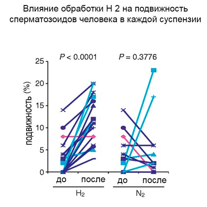 sperma3 image Стимуляция подвижности поврежденной спермы человека молекулами водорода