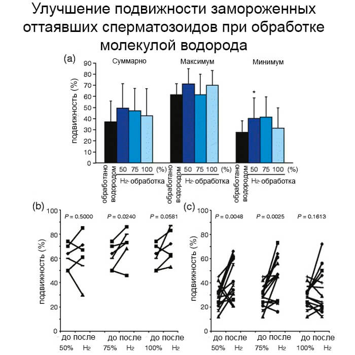 sperma6 image Стимуляция подвижности поврежденной спермы человека молекулами водорода