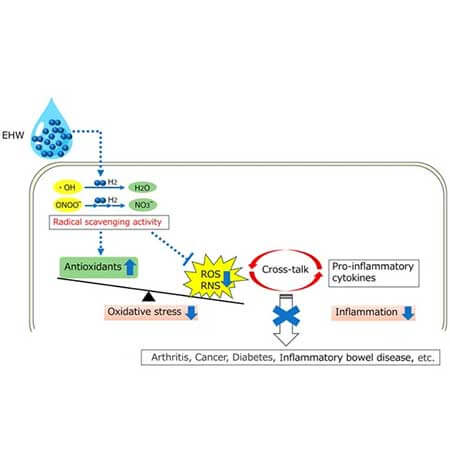 hydrogen-water-benefits-japan-article Последние статьи о водородной воде - H2H2O
